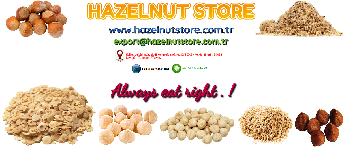 HAZELNUT Hazelnut Store Medium