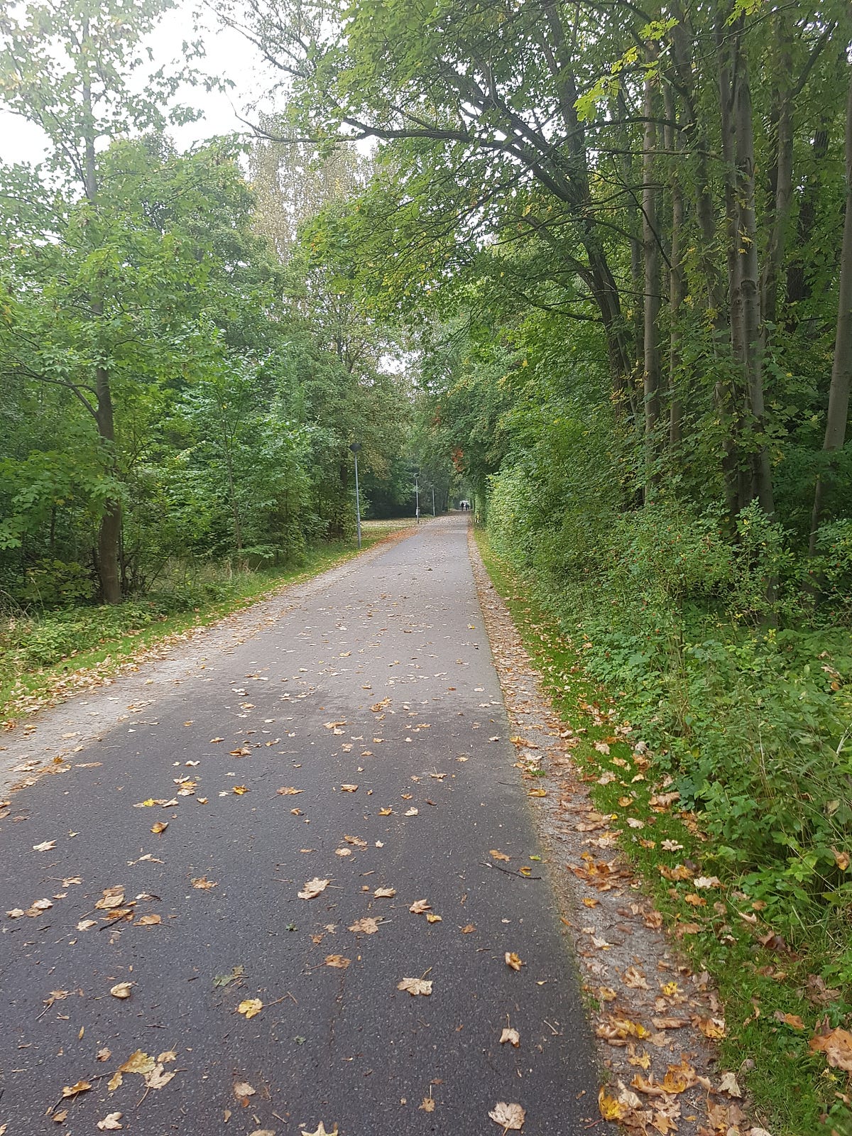 The Weekly Long Haul 12k This Is Where I Run My Weekly Long By the-weekly-long-haul-12k-this-is-where-i-run-my-weekly-long-by