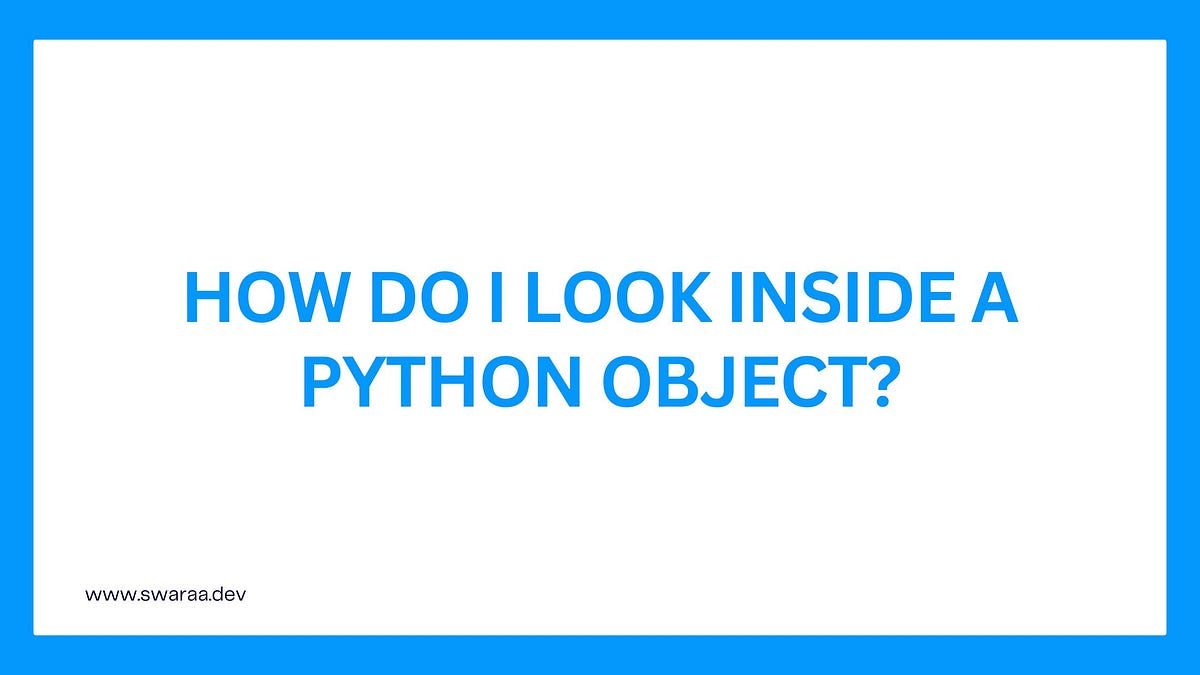 How do I look inside a Python object? | by Daniel Martin | Dec, 2024 ... image.