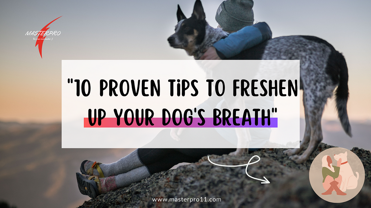 10 Proven Tips to Freshen Up Your Dog's Breath Medium