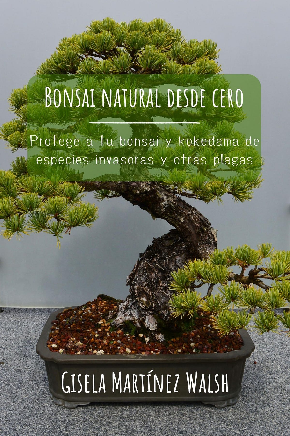 [BOOKS] Bonsai natural desde cero Protege a tu bonsai y kokedama de