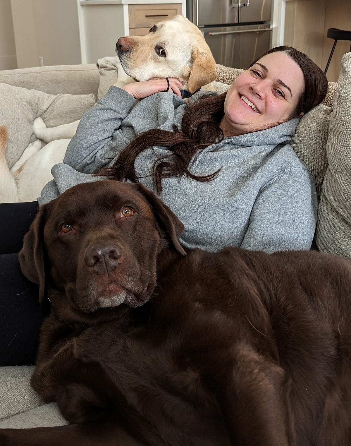 The Labrador Effect How Dogs Transform Your Health & Wellbeing by