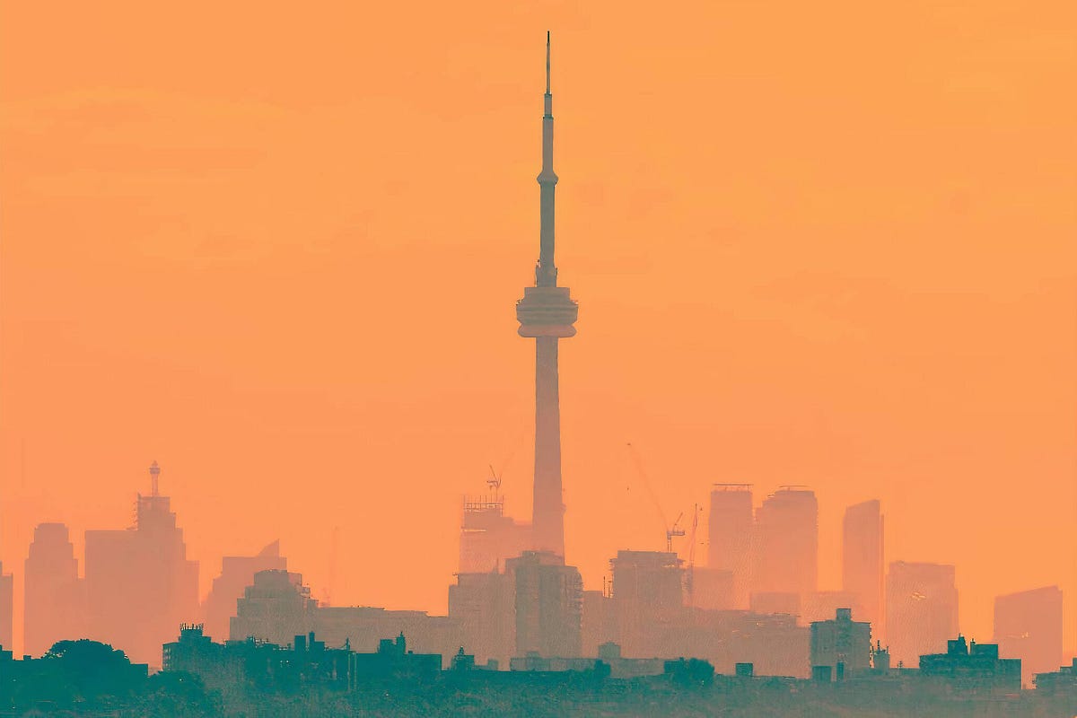 Toronto’s Urban Forest: Checking in on 1 Downtown Neighborhood | by ...
