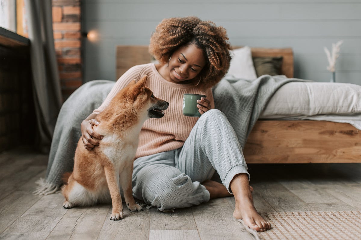 7 Tips to Get Your Dog to Stay Calm When Guests Arrive by