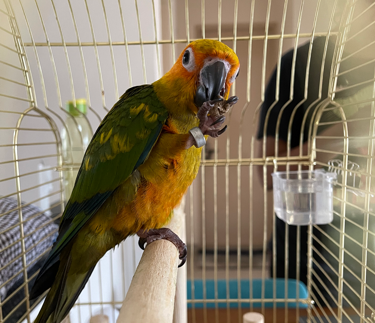 How to Clean Rope Perches: Easy Steps for Sparkling Results