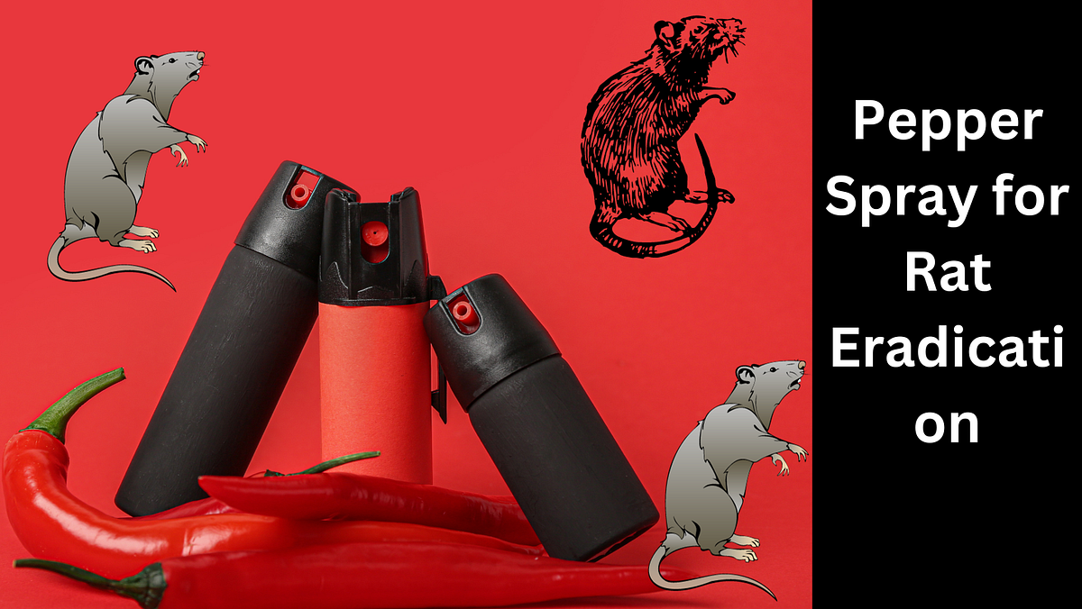 Can you keep Rats and other Vermin Away with Pepper Spray? by Khasoa