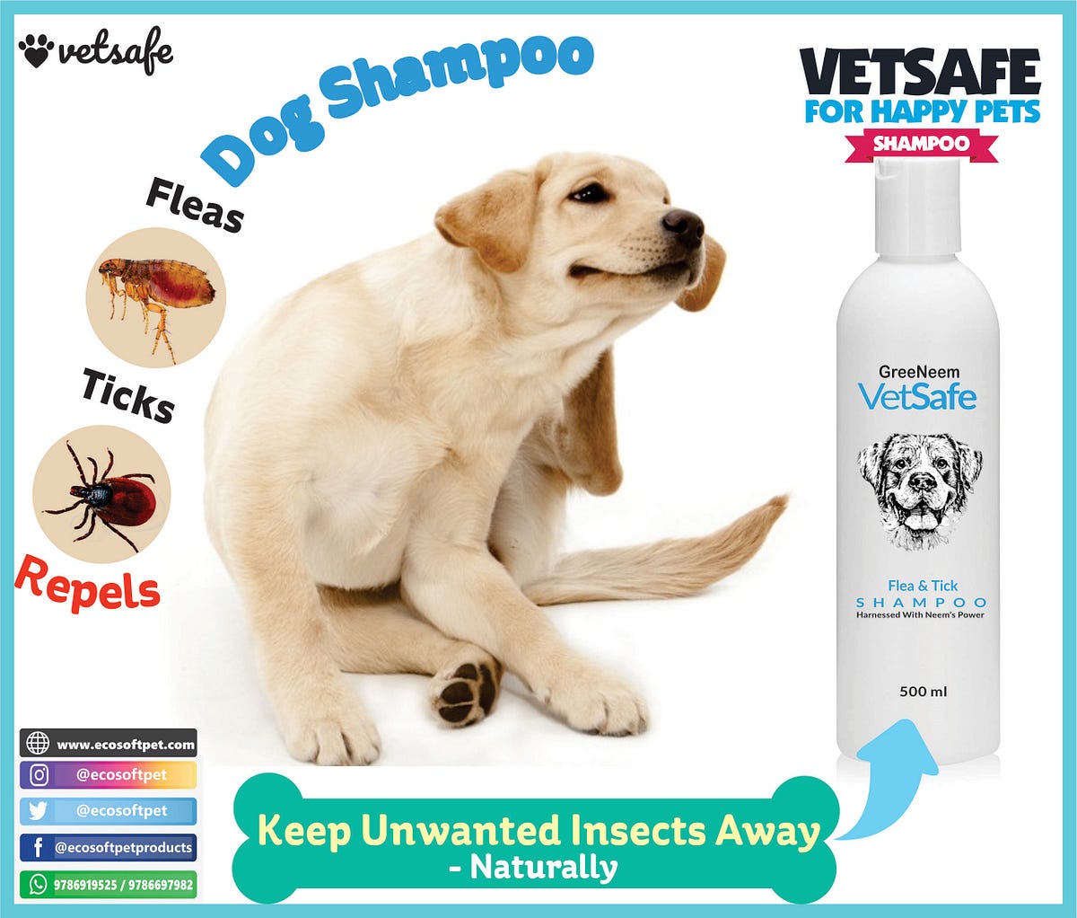 Best Flea and Tick Shampoo Dog Shampoo Best Dog Flea Control