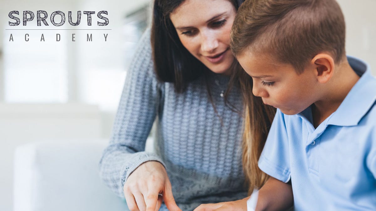 Private Tuition for 7YearOlds in Sydney Sprouts Academy Blog