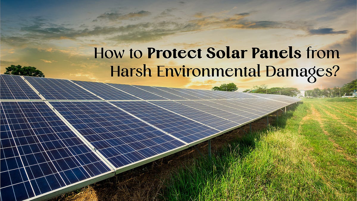 How to Protect Solar Panels from Harsh Environmental Damages? by