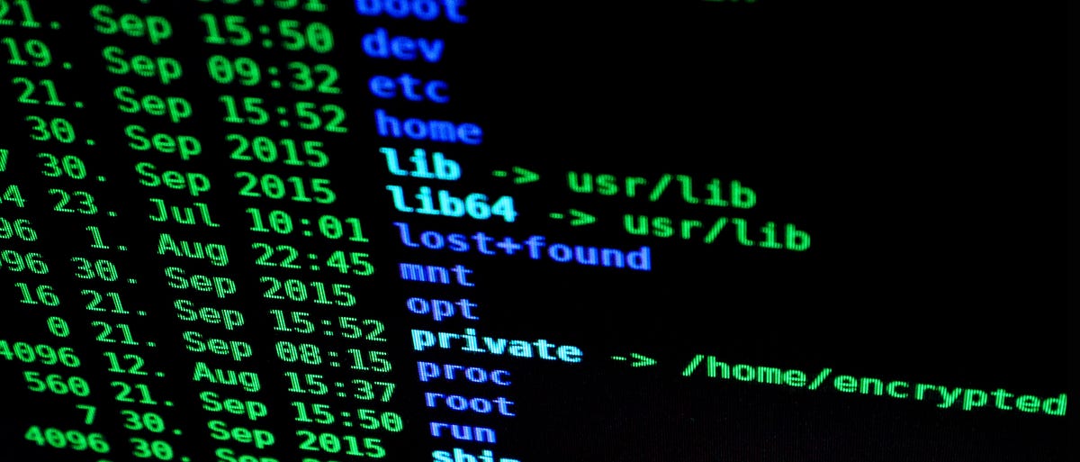 Instant Docker local environment for Wordpress | by Nejc Rodošek | Medium