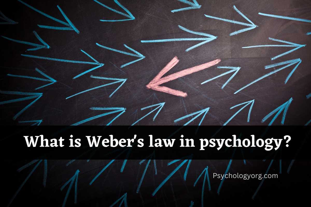 What is Weber's law in psychology? Examples | by Harryonline | Medium