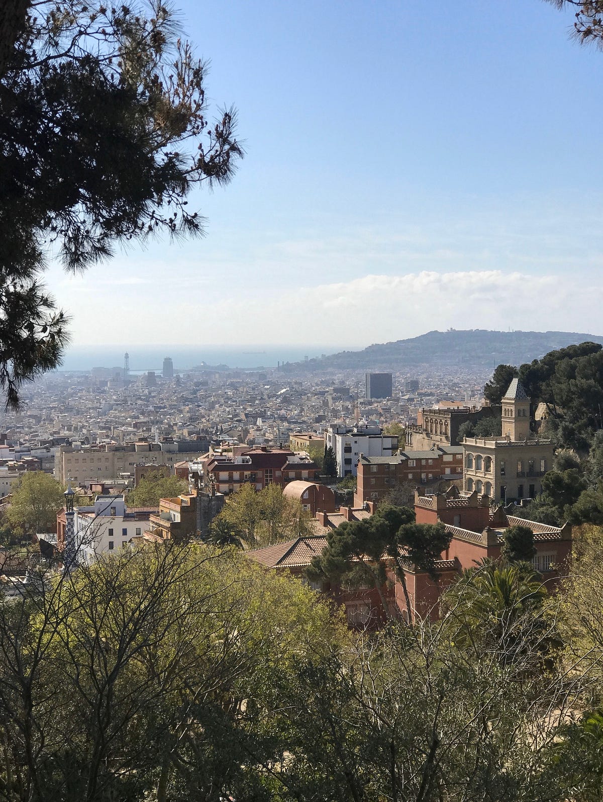 Falling in love?. What is it to fall in love slowly? by Nikolette