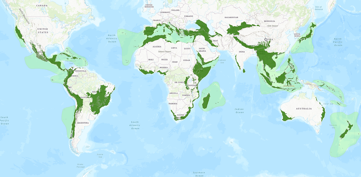 Biodiversity: recognition of the other 99.99% | by Gagan Reddy ...
