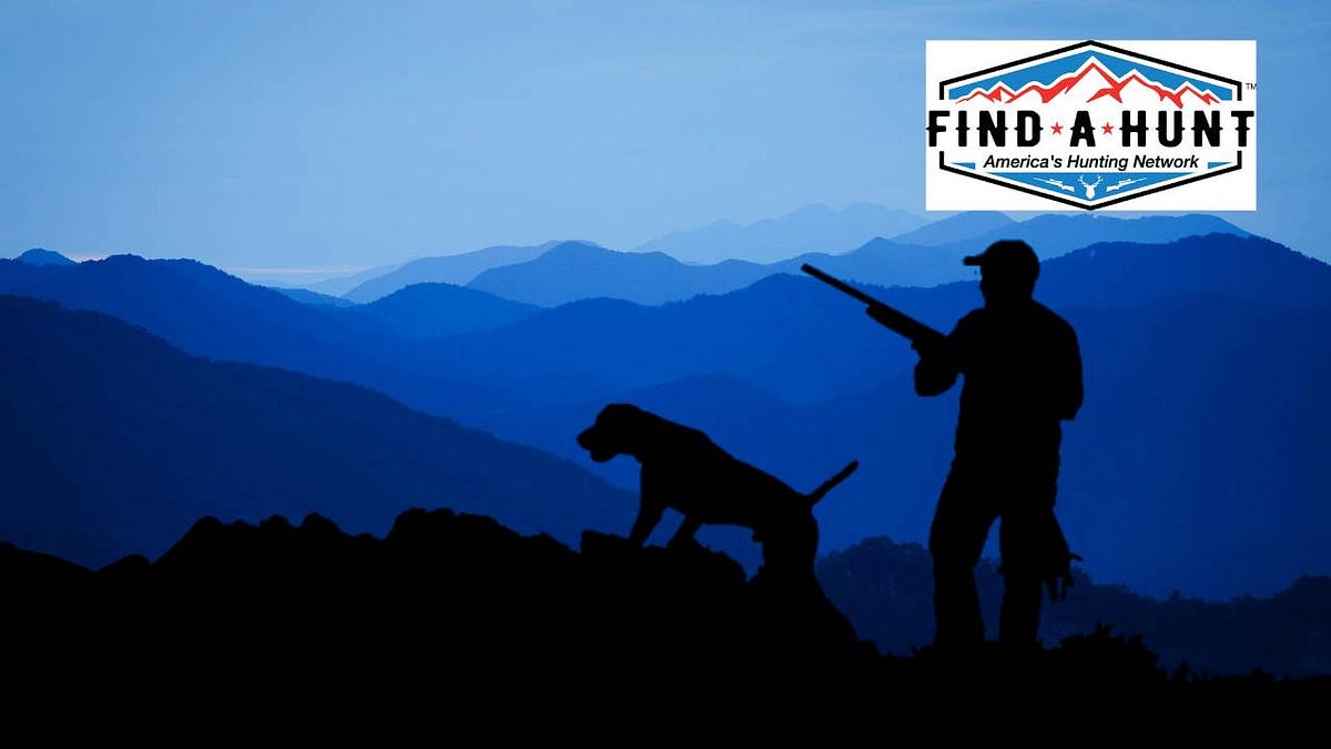 The Ultimate Guide to Hiring the Best Hunting Guides for Your Next Trip by Find A Hunt Medium