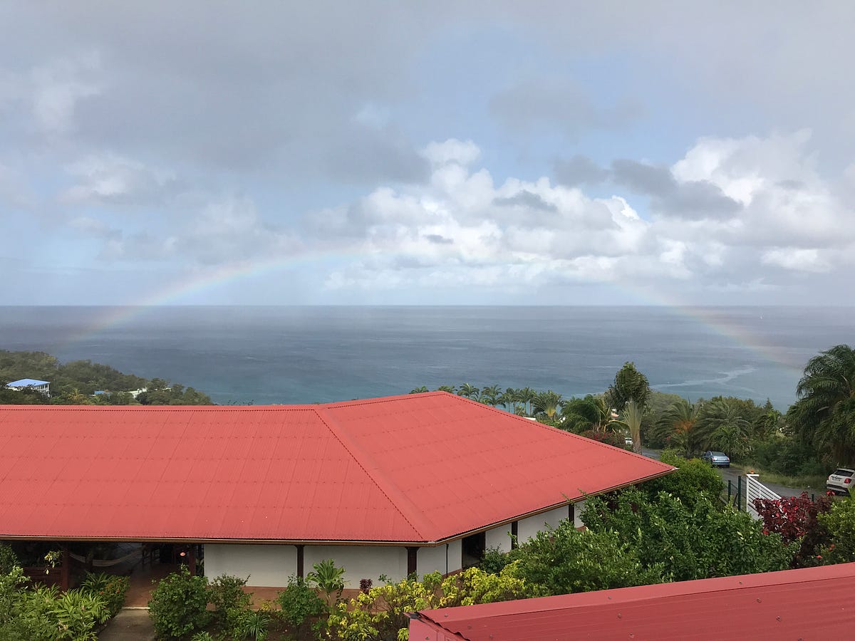 Guadeloupe, the butterfly island stole our hearts EduSciTech Medium
