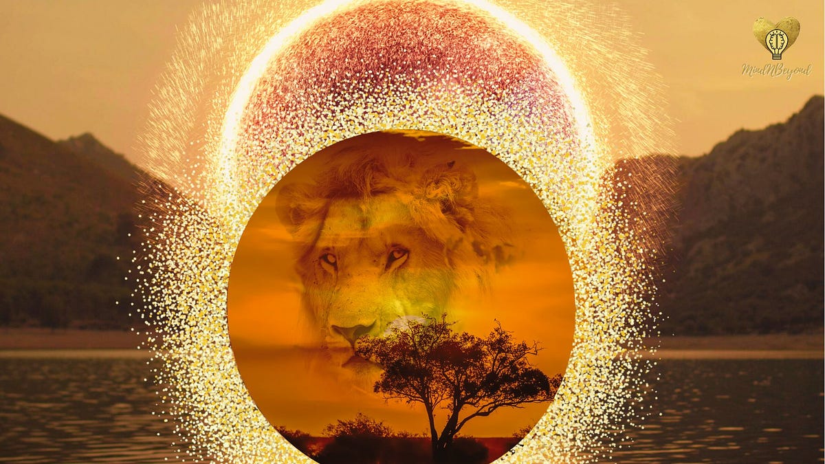 8/8 Lions Gate Portal 2023 8 Manifestation Keys Which One Are You