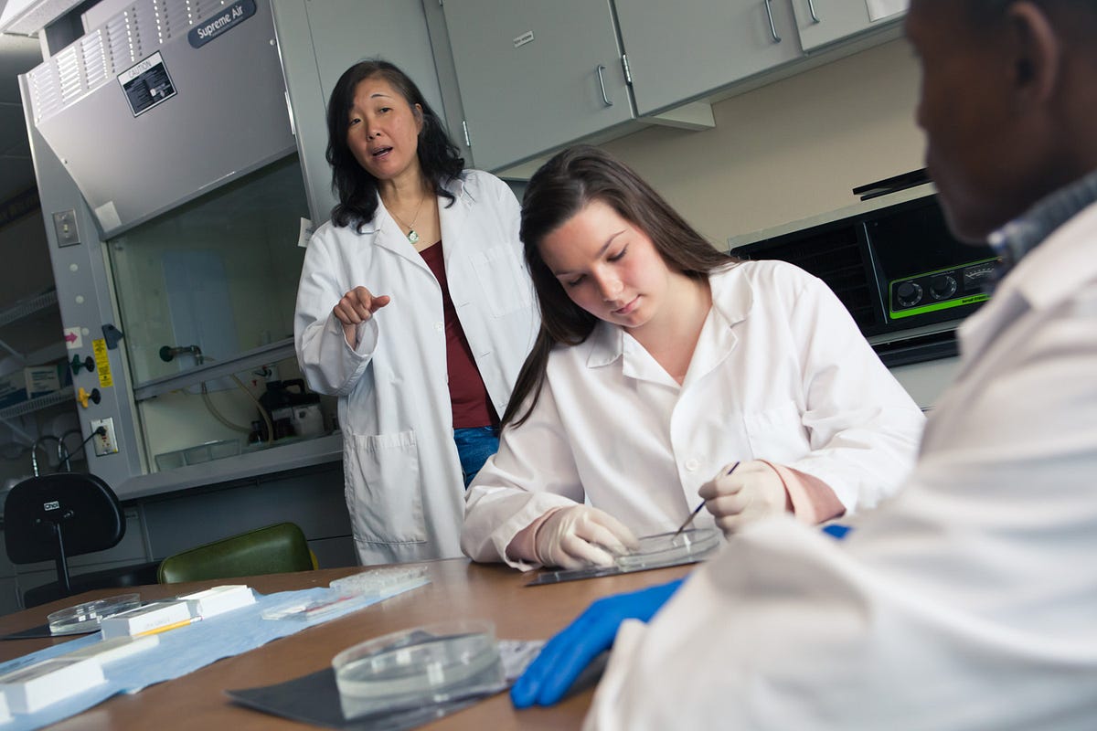 Studying the science of overeating | by Marquette University | We