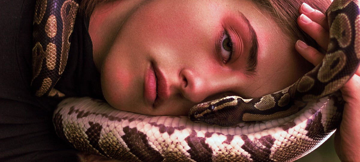 The Polyamorous Python. Per Request: A Satirical Haiku In 39… | by ...