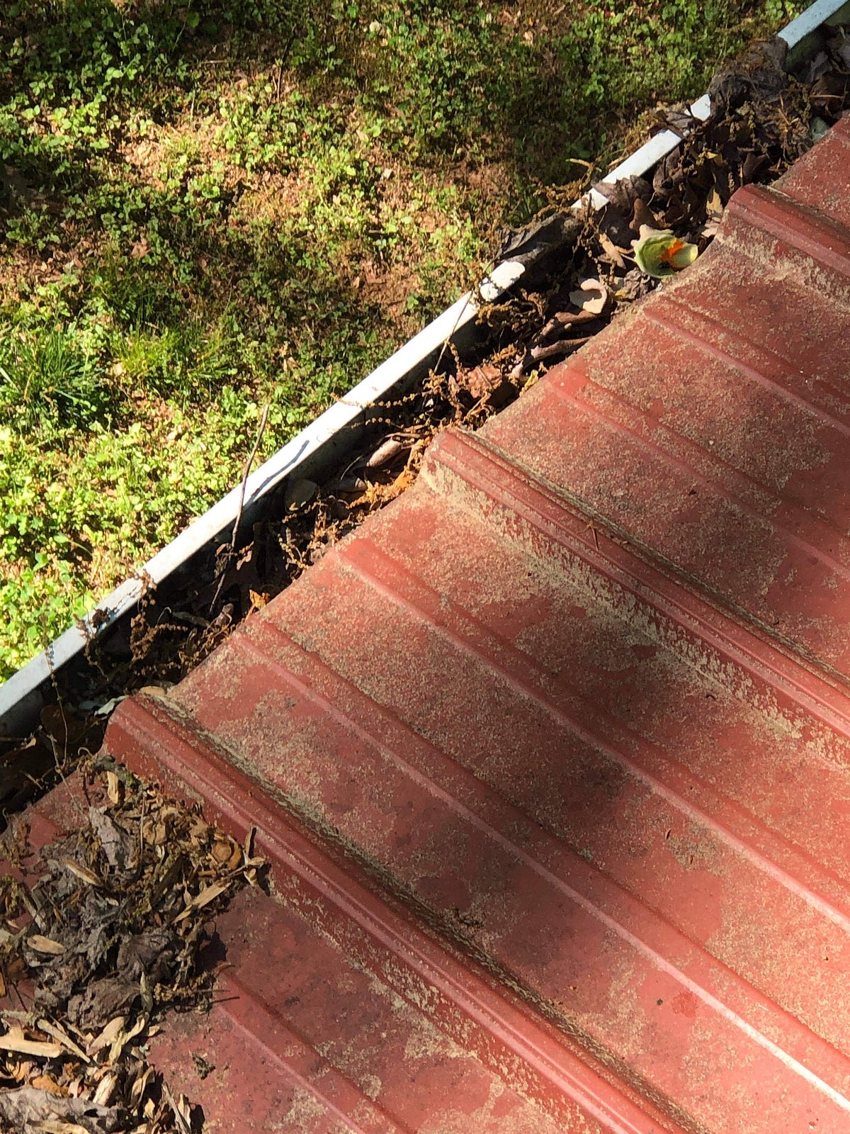 Your Gutters Deserve The Best Care Clean Pro Gutters Overland Park Is