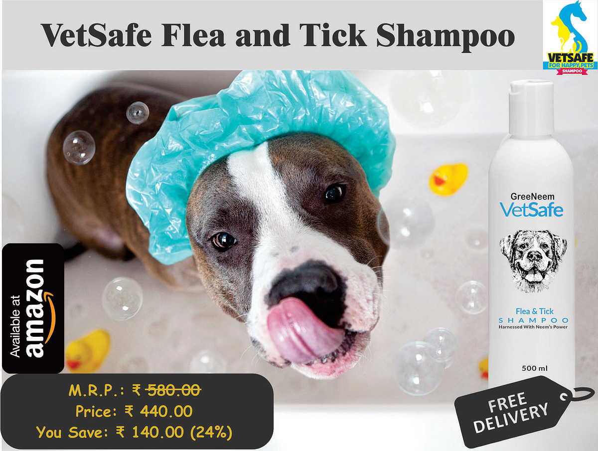 VetSafe Dog Shampoo available at Amazon Best Dog Shampoo Flea and
