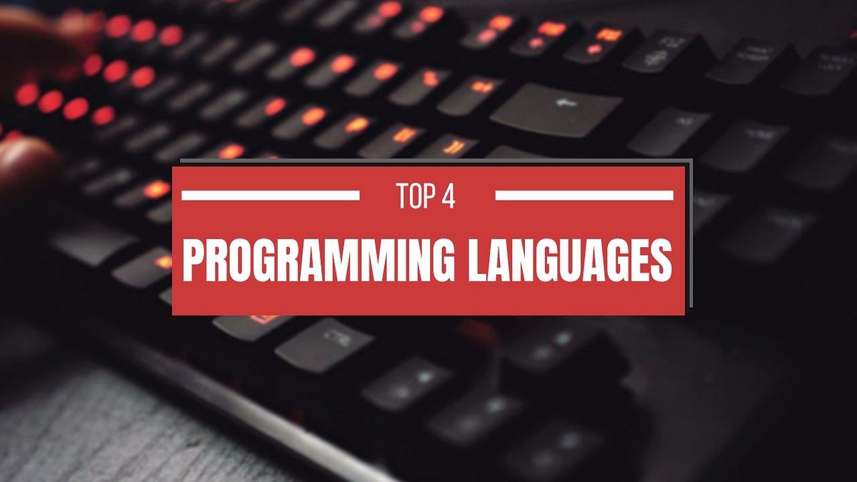 The Top 4 Programming Languages for Beginners: A Path to Digital ...