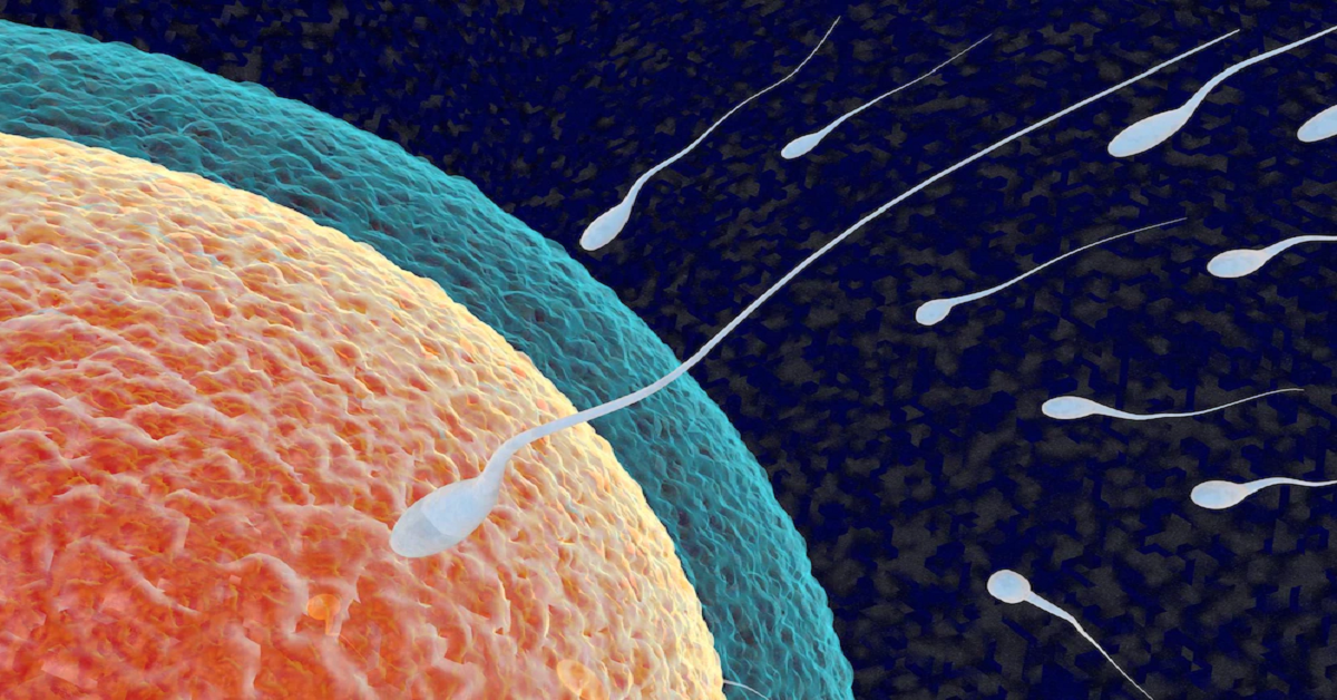 5 Tips to Improve The Quality of Your Eggs for IVF by Aadarsh Medium