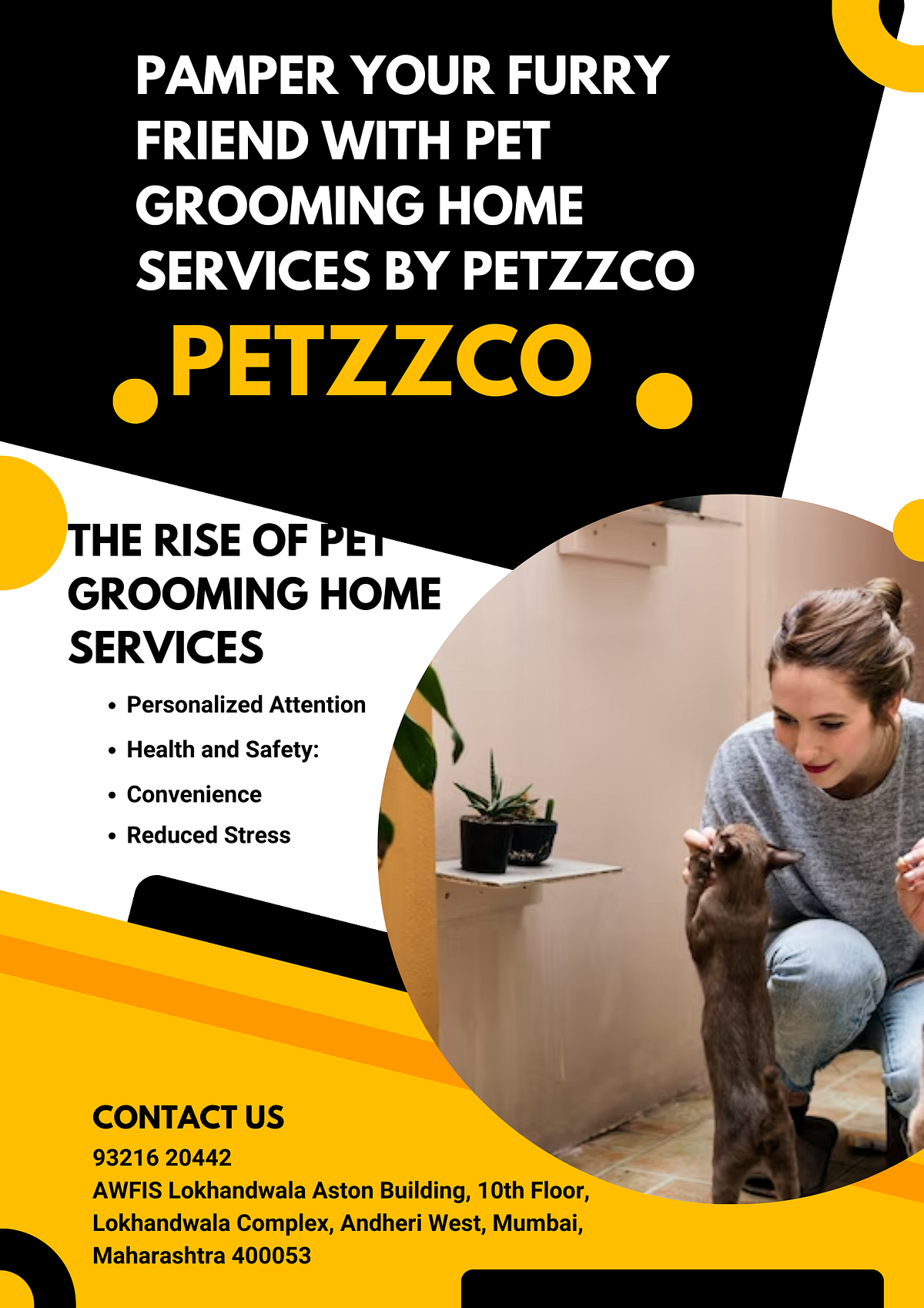 Professional Mobile Pet Grooming Services by Petzzco | Grooming Your