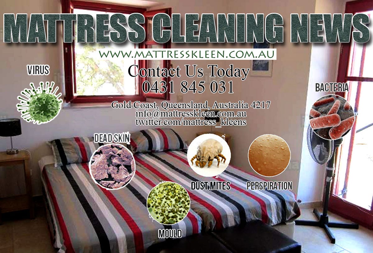 Important Info Regarding Dust Mites Allergies by Elligett Medium