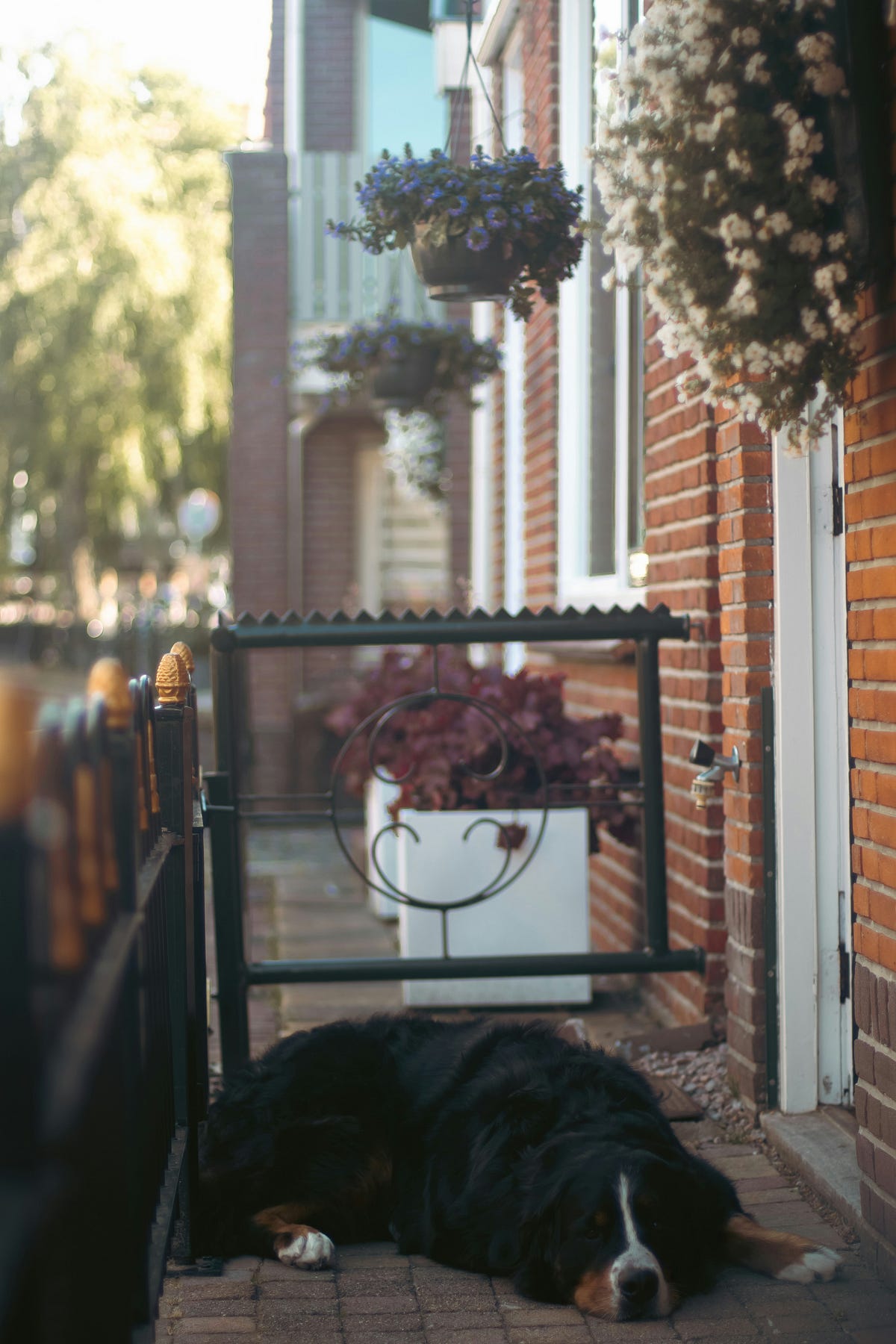 if you know what I mean Scuzzbucket Medium