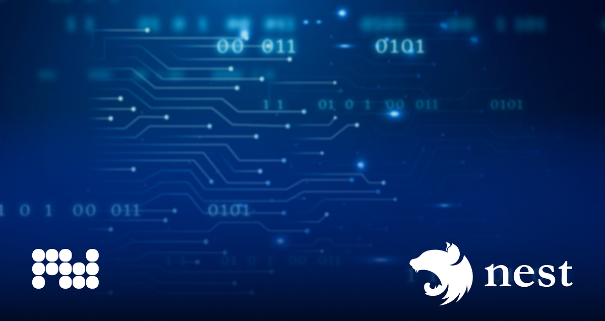 API payloads validation and transformation in NestJS | by Genadii ...