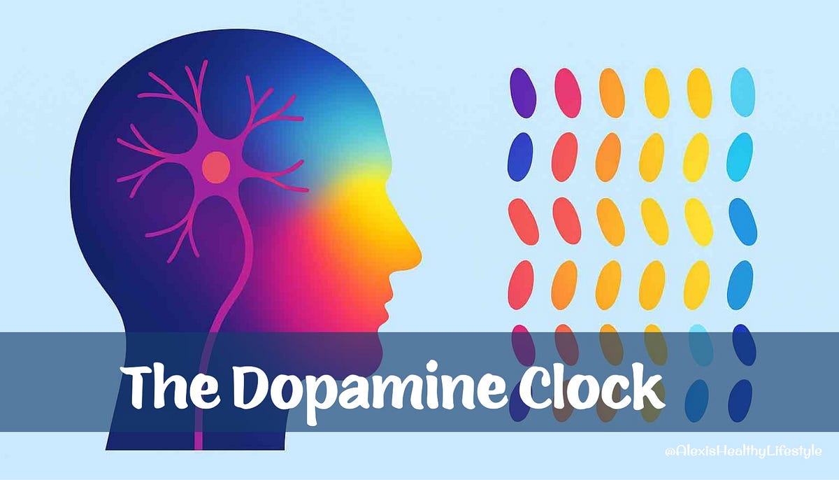 The Dopamine Clock: How Your Brain Predicts Not Just Rewards, But Their ...