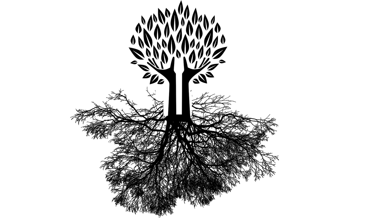 Roots. All my life I’ve run from my roots… | by Heath ዟ | Chalkboard ...