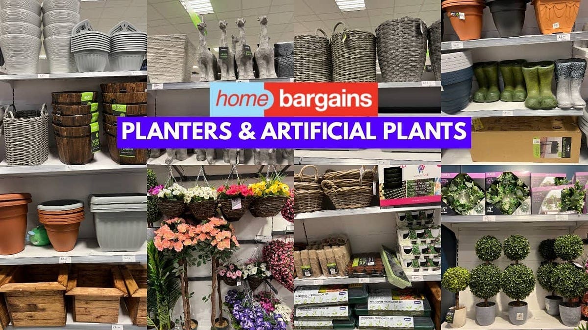 Home Bargains Plant Pots: A Treasure Trove for Green Enthusiasts | by ...