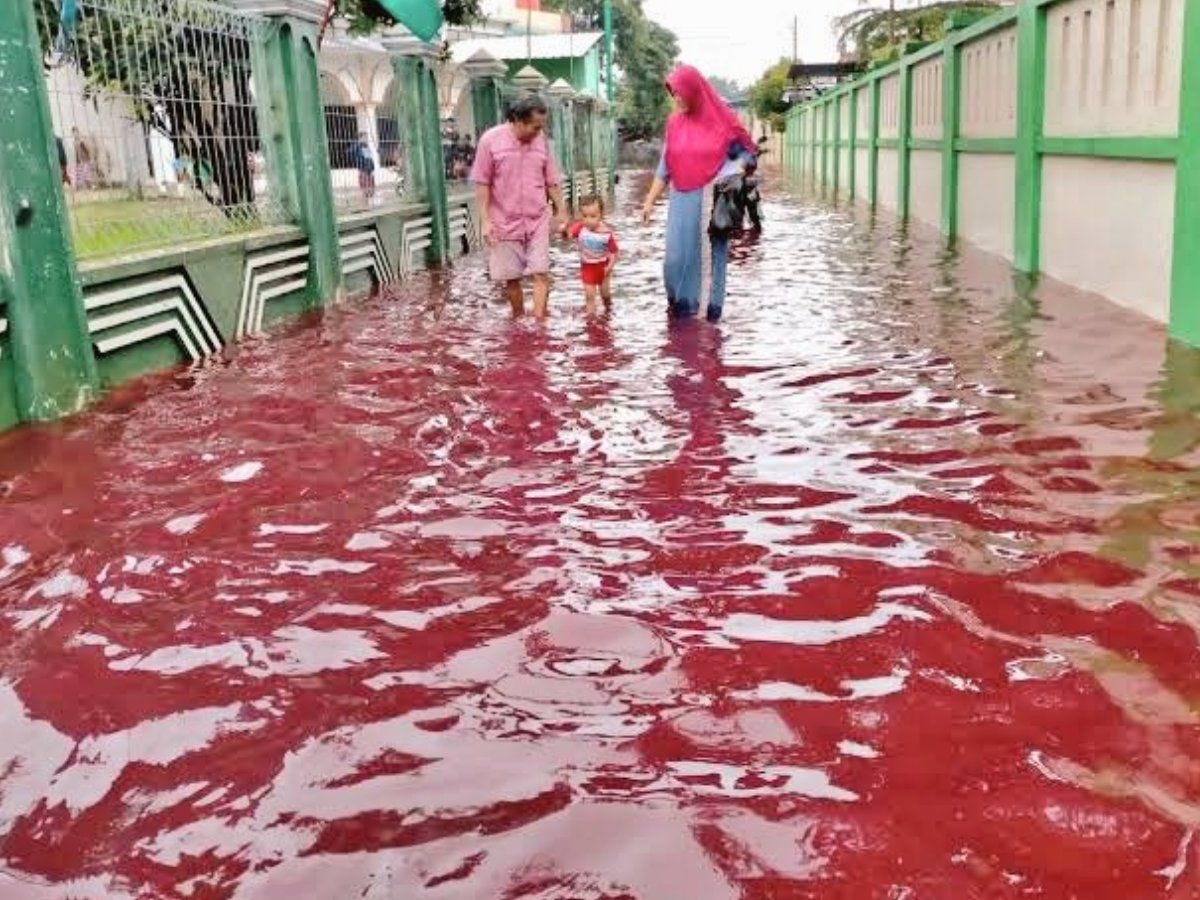 Was it Raining Blood in India?. A peculiar occurrence took place in… | by  Tristan Mueller | Medium