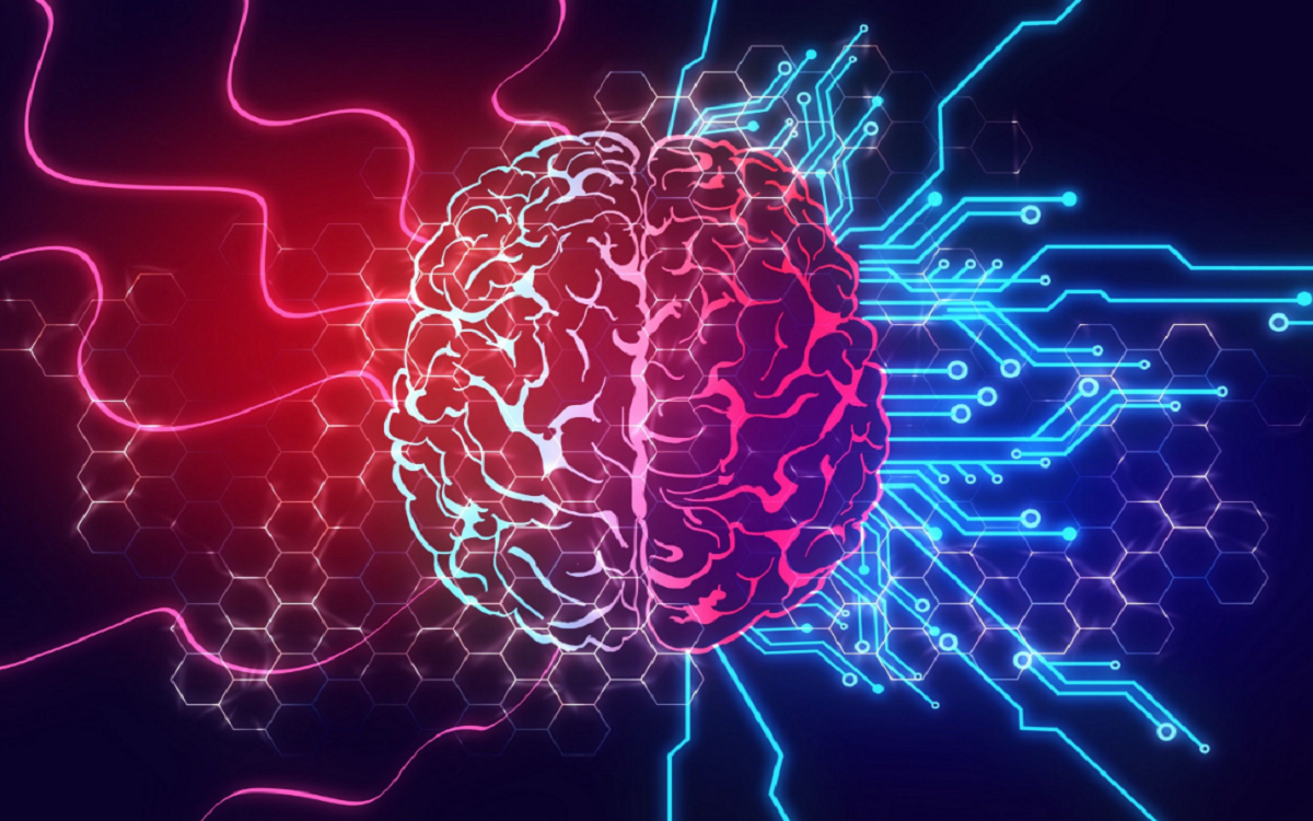 الشبكات العصبية الاصطناعية: ما هي، أنواعها، كيفية عملها، وتطبيقاتها | by princessmero | Medium
