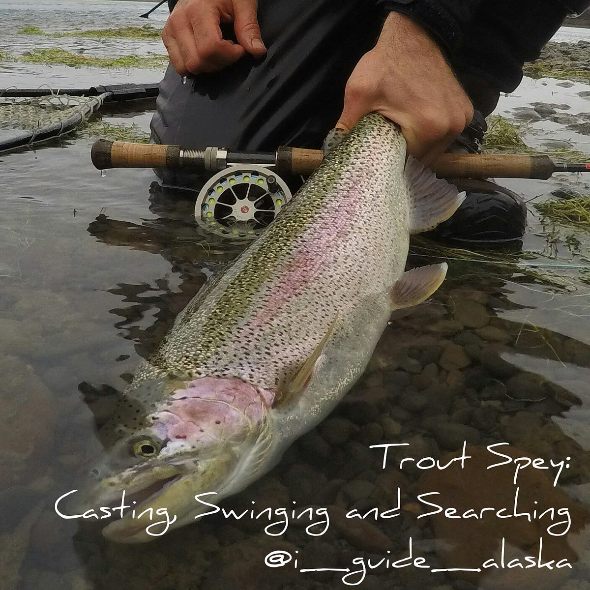 Trout Spey: Casting, Swinging and Searching, by David A Lisi