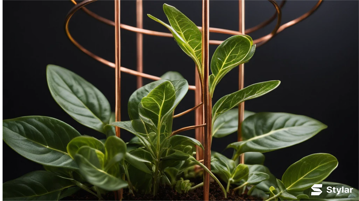 Introduction to Electroculture Antennas Boost Your Garden with Electricity by Electroculture