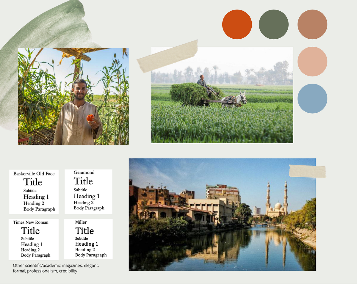 Assignment 5 & Page Layouts. This week, we prepared our design… | by ...