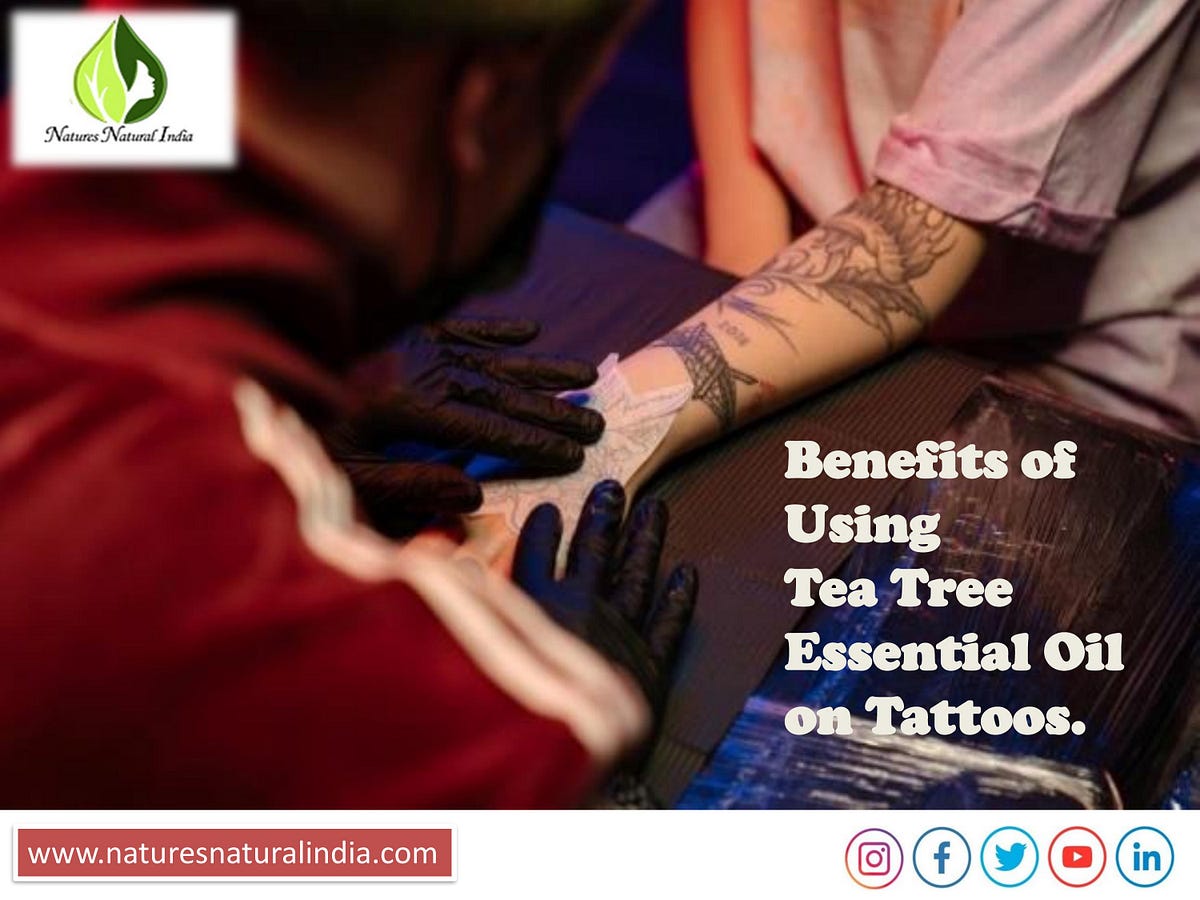 Benefits of Using Tea Tree Essential Oil on Tattoos, by Nature Natural  India, Oct, 2023