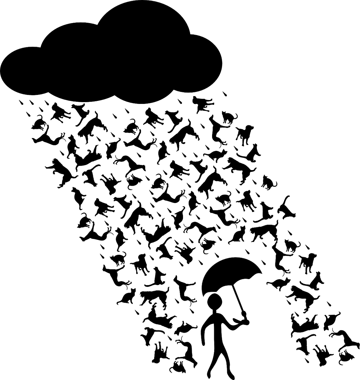 Deciphering Everyday Idioms. A Dive into Common Expressions by