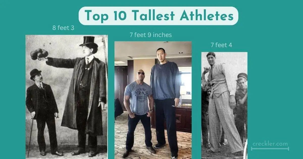 Top 10 Tallest Athletes In The World Of All Time 2025 Update