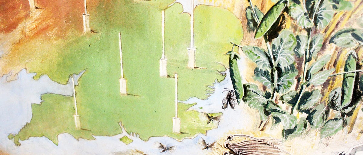 Big science from small insects. 50 years of the Rothamsted Insect… | by ...