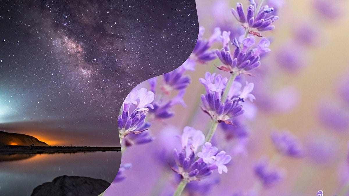 My Sleep Time Feels Shorter Sleep Is A Time To Rest The Body That