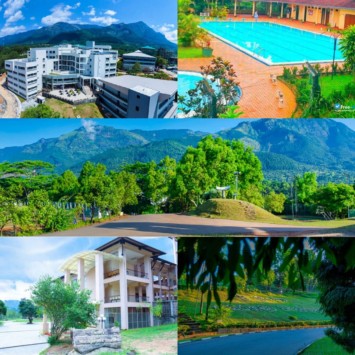 Sabaragamuwa University of Sri Lanka Embark on an Academic Journey of ...