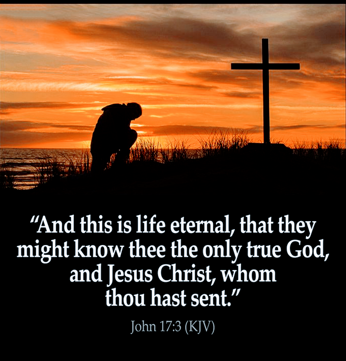 One true god jinn. True god перевод. Everytime one true god. One true god. One true god - come to me.