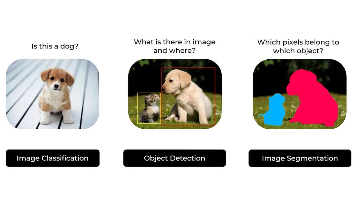 Visual Insights Unveiled Deep Dive into Image Classification, Object(01)