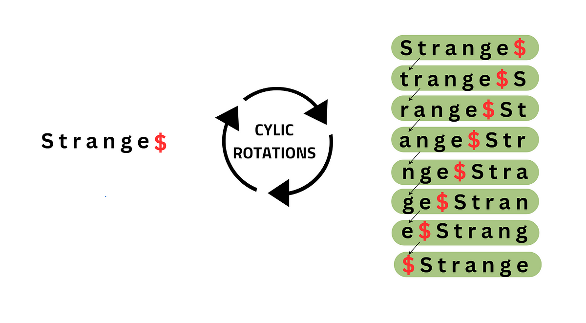 BURROWS-WHEELER TRANSFORMATION ALGORITHM | by Sharon Olivia | Medium