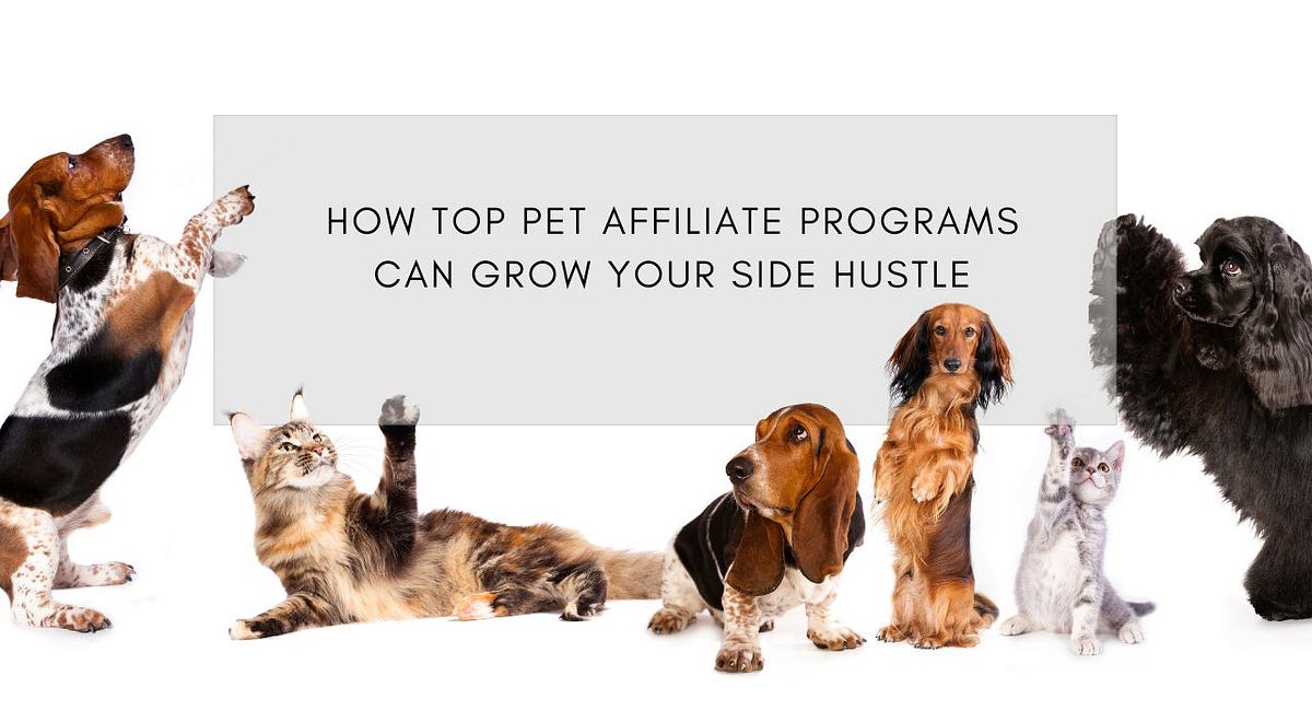 How Top Pet Affiliate Programs Can Unlock Passive Income For You | by Eric John Rivera | Sep, 2024 | Medium