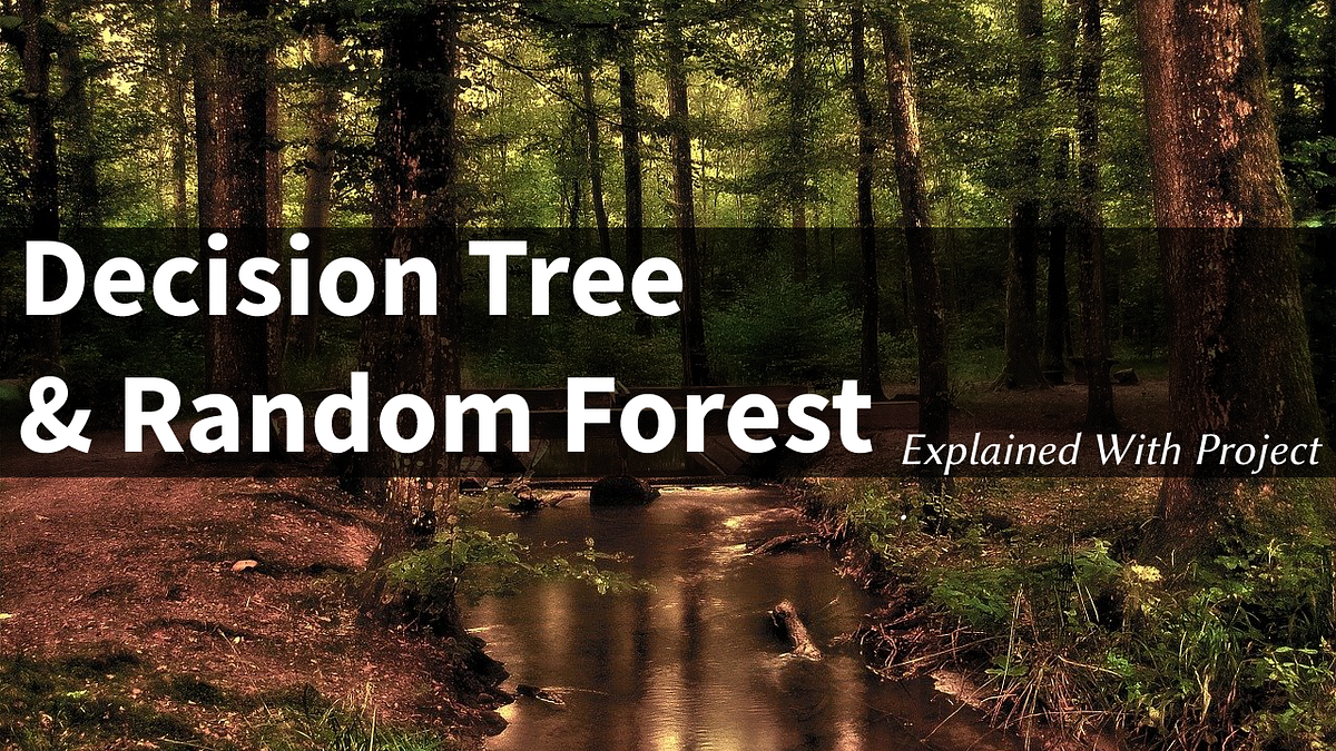 Decision Tree & Random Forest Explained With Project by Prajeet Singh