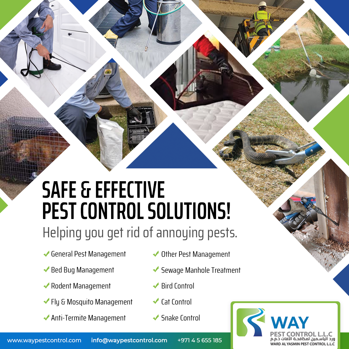 What Safety Precautions To Take While Doing Pest Control | by Way Pest ...